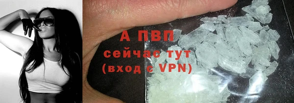 ПСИЛОЦИБИНОВЫЕ ГРИБЫ Наволоки