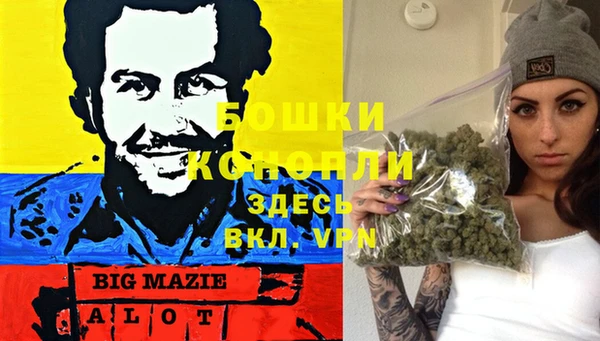 ПСИЛОЦИБИНОВЫЕ ГРИБЫ Наволоки
