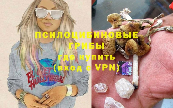ПСИЛОЦИБИНОВЫЕ ГРИБЫ Наволоки