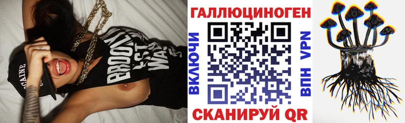 Купить  Владимир  Галлюциногенные грибы GOLDEN TEACHER 