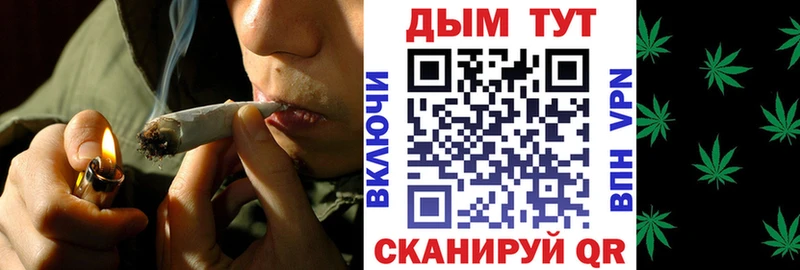Купить где  Владимир  Марихуана марихуана 